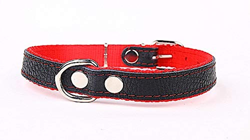 Collar para Perro de Piel auténtica, Color Rojo, 25 mm de Ancho, 55 cm de Largo