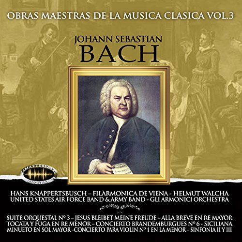 Concierto Para Violín Número 1 in A Minor, BWV 799: I. Allegro molto