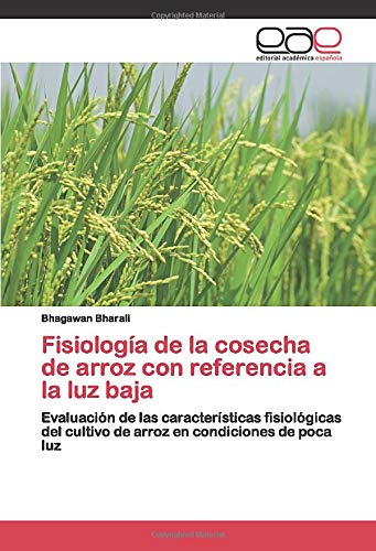 Fisiología de la cosecha de arroz con referencia a la luz baja: Evaluación de las características fisiológicas del cultivo de arroz en condiciones de poca luz