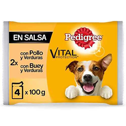 Pedigree Multipack de Comida húmeda para Perros Adultos en Salsa sabores Pollo y Buey con Verduras (13 Packs x 4 bolsitas x 100g)