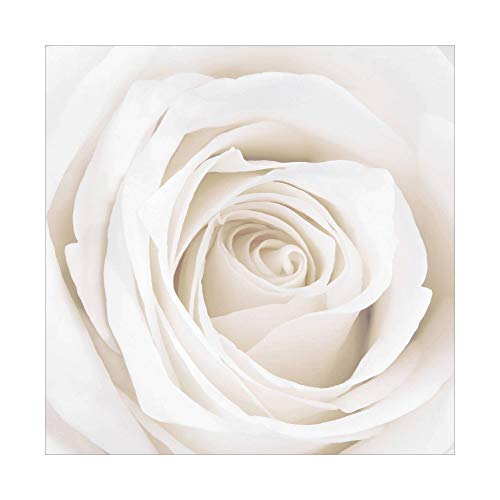 Bilderwelten Fotomural Premium - Pretty White Rose - Mural cuadrado papel pintado fotomurales murales pared papel para pared foto 3D mural pared barato decorativo, Dimensión Alto x Ancho: 240cm x 240cm