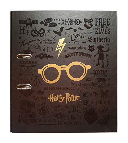 Grupo Erik - Archivador de palanca Gafas, Harry Potter (28x32 cm)