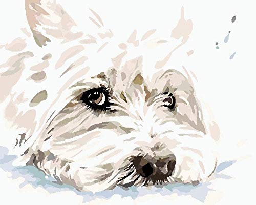 West Highland White Terrier Guía fotográfica para adultos Dibujo digital por números Kit digital de dibujo por números para personas mayores Senior Digital para jóvenes Pintura digita（Sin marco）