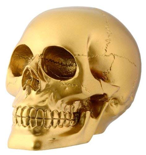 StealStreet - Figura Decorativa de Esqueleto con Cabeza de Calavera Dorada