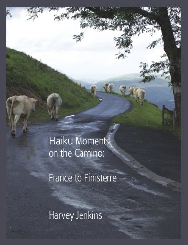 Haiku Moments On the Camino: France to Finisterre (English Edition)