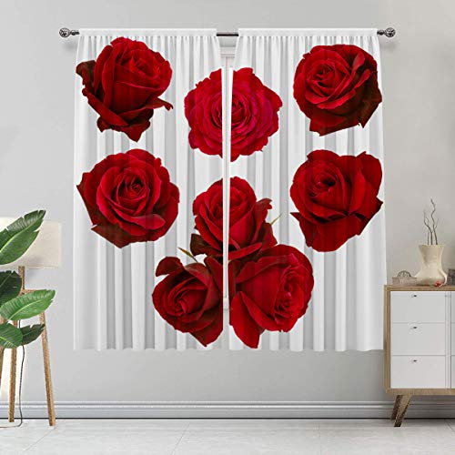 Alandana Cortinas oscuras para habitación de rosas, collage de rosas rojas aisladas sobre fondo blanco, juego de 2 paneles, cada panel de 80 cm de ancho x 183 cm de largo