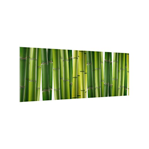 Bilderwelten Panel antisalpicaduras de Cristal - Bamboo Plants - Panorámico, Panel antisalpicaduras Panel de Vidrio para Cocina Panel Protector contra Salpicaduras, Tamaño: 50cm x 125cm