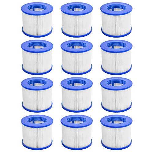 CosySpa Filtros de Repuesto para Jacuzzis y Spas | Cartuchos Limpiar el Agua | 2 Diseños y en Packs de 1, 6 o 12 - Compatible con Cosy SPA, Wave SPA, Clever SPA y Más (Rosca, Pack de 12)