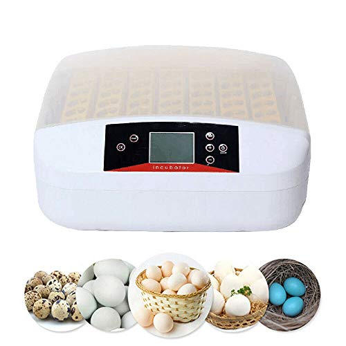Incubadora de 56 huevos, totalmente automática con control de temperatura y humedad, pantalla LCD, rotación automática de los huevos (con luz)