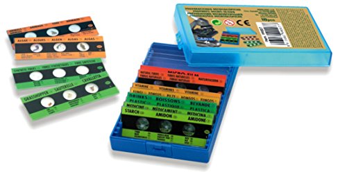 Miniland - Preparaciones microscópicas en caja de plástico (99007)