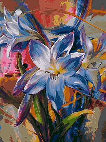 Toudorp Kits de pintura por números 40 cm x 50 cm Lienzo de flores Pintura acrílica DIY con pinturas, pinceles y lupa tamaño tarjeta - Narciso (sin marco)