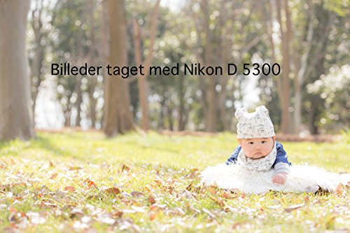 Billeder taget med Nikon D 5300 (Danish Edition)