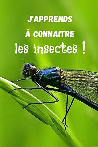 J'apprends à connaitre les insectes !: Cahier entomologique à remplir (15,24 cms X 22,86 cms, 100 pages)