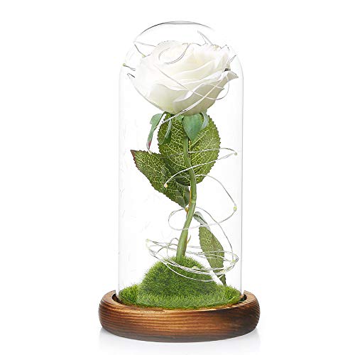 Konesky Rose in Glass, Eternal Rose in Glass La Bella y la Bestia LED Flores de Rosas Artificiales Rosa preservada Luces de Hadas LED Regalo romántico Aniversario Decoración de la casa-Blanco