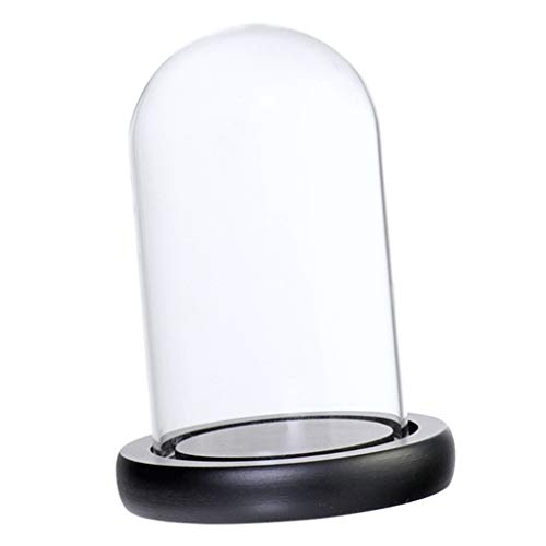 LOVIVER Cúpula de Vidrio Transparente con Base de Madera Cristal Cloche Adorno Varios Tipos Disponibles - Negro A