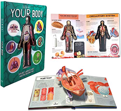 Yimixz Anatomy of The Human Body in English Popular Science Book 3D Early Education Book for Kids (3D Book Random Color)