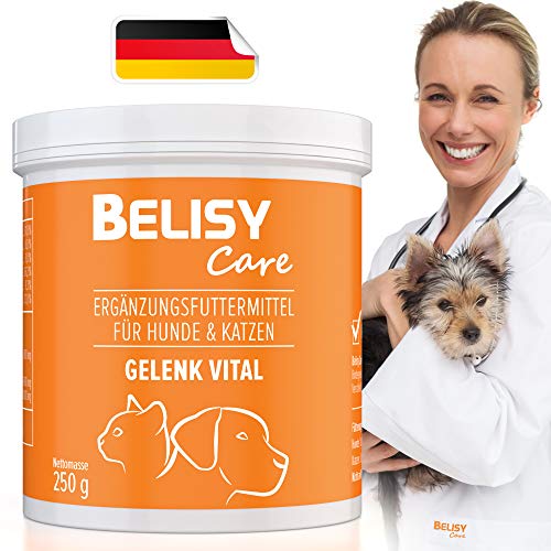 BELISY Polvo para articulaciones Gelenk Vital para perros y gatos – 250 g de polvo para articulaciones con colágeno – Fabricado y probado en laboratorio en Alemania – Para más libertad de movimiento