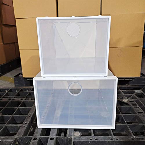 WONOOS Caja De Zapatos De Almacenamiento para El Hogar, Caja De Zapatos Tipo Cajón De Plástico Grueso Transparente Simple Que Se Puede Apilar con Un Zapatero Simple,S