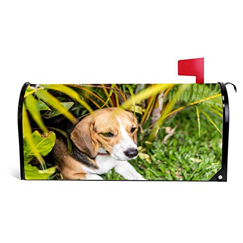 happygoluck1y Beagle - Funda magnética para buzón de correo con diseño de cachorro sobre hierba verde