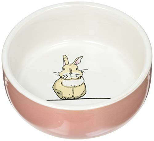 Nobby - Cuenco de cerámica para roedores (11 x 4,5 cm), Color salmón y Blanco