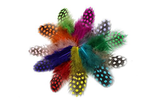Tigofly 100 unidades/lote de 11 colores mezclados con perlas de guinea sueltas, plumas de gallina, plumaje, plumaje, plumaje, plumas manchadas, materiales para atar moscas.