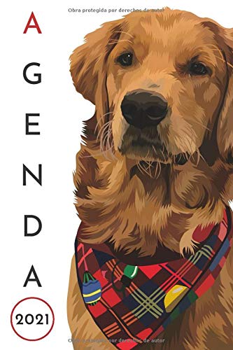agenda 2021 perros: agenda 2021 semana vista perritos - planificador semanal y mensual 2021 A5 - agenda 2021 de enero a diciembre - una Semana en dos ... - regalo perro personalizado hombre mujer