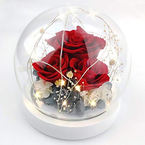 Forever Flowers - Rosas preservadas para Mujer, mamá, Novia, Esposa, Rosas auténticas Frescas, Regalo Elegante para el día de San Valentín, cumpleaños, Aniversario (Rojo Brillante)