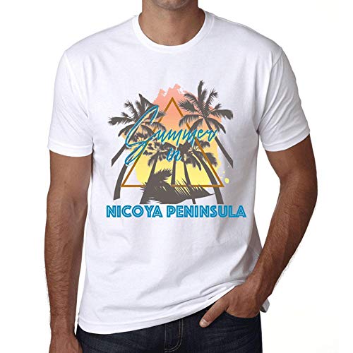 Hombre Camiseta Vintage T-Shirt Gráfico Summer Triangle Nicoya Peninsula Blanco