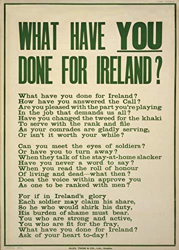 ¿La irlandesa WW1 1914-1918 Propaganda lo que has hecho para Irlanda? 250gsm polarmk tarjeta del arte A3 Póster