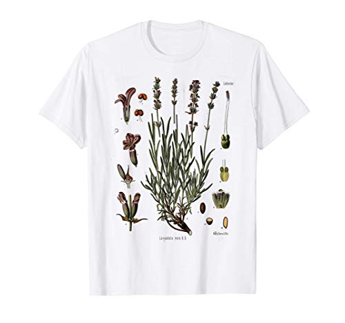 Lavender Botanical Print Lavandula Vera Plant Illustration Camiseta