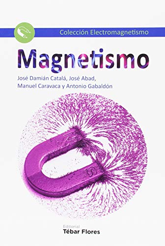 MAGNETISMO (Colección Electromagnetismo)