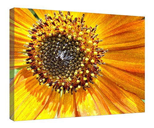 VinMea Canvas Prints Wall Art - Light Sunflower HD Picture Print on Canvas Wrap For Home Decoration Ready to Hang (16X24 Inch, Framed)
