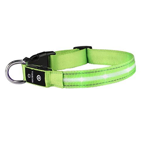 MASBRILL Collar LED Perro, Collar para Perro Luminoso Recargable y Impermeable, 3 Modos de Iluminación led y Tamaño Ajustable para Perros Pequeños Medianos Grandes(Verde S)