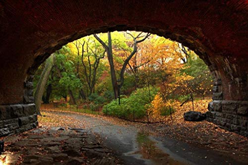 Through The Tunnel Autumn in Central Park NYC Wooden Jigsaw Puzzles 1000 Pieces for Adults Kids Challenge Puzzles Adults Game Toy Gifts