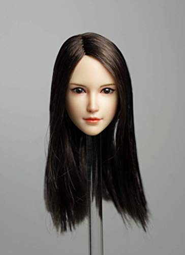 ZSMD 1/6 escala europea de cabeza femenina Sculpt para figura de acción de 12 pulgadas y figura de acción soldada, pelo largo marrón