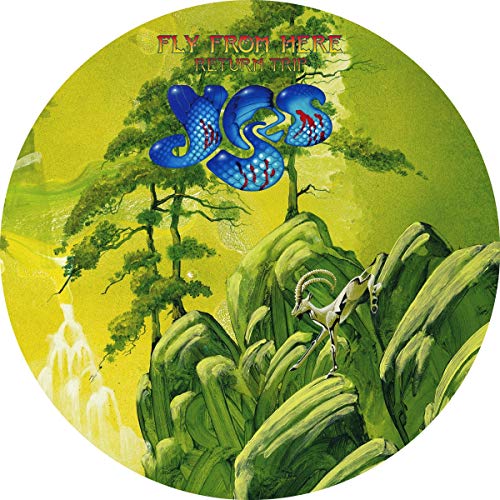 Fly From Here ~ Return Trip: 180GSM Picture Disc LP [Vinilo]