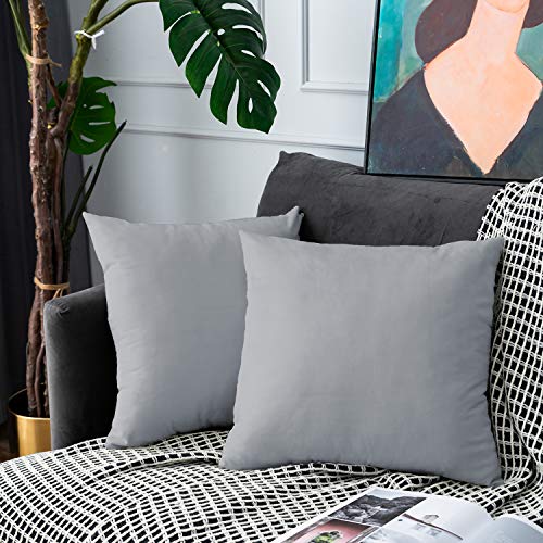 UPOPO Juego de 2 fundas de cojín de terciopelo, decorativas de un solo color, para sofá, dormitorio, salón, con cremallera, 45 x 45 cm, color gris claro