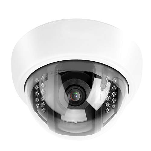 Cámara IP en Domo, WiFi HD 720P con ONVIF IP66 Seguridad de vigilancia inalámbrica visión Nocturna por Infrarrojos detección de Movimiento, visión remota Impermeable para Exteriores Cámara(UE)