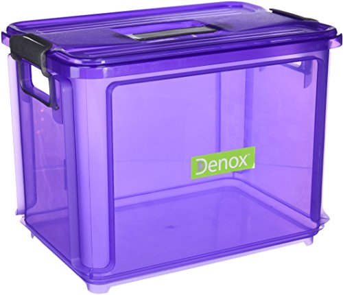 Denox Caja Ordenación, Violeta, 34.5x24x26 cm