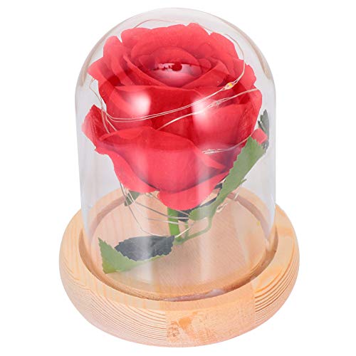 Minkissy Lámpara de Rosa Real Preservada Flor de Rosa en Cúpula de Vidrio para Siempre Flor Luz de Noche para Mujeres Niñas Día de San Valentín Aniversario de Boda Cumpleaños Rojo