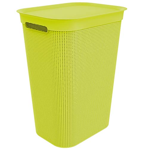 Rotho Brisen, Cesta de lavandería 50l con tapa, Plástico PP sin BPA, verde, 50l 43.1 x 34.0 x 52.9 cm