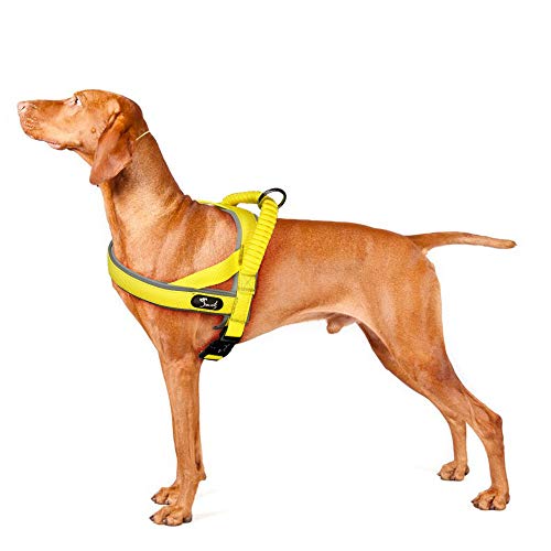 Arnés para Perros Cómodo y Suave Neopreno de Nylon Acolchado Dog Harness Reflectante Ajustable con Manija Superior Bungee para Caminar Adiestramiento Viajes Fácil de Usar (Amarillo,L)