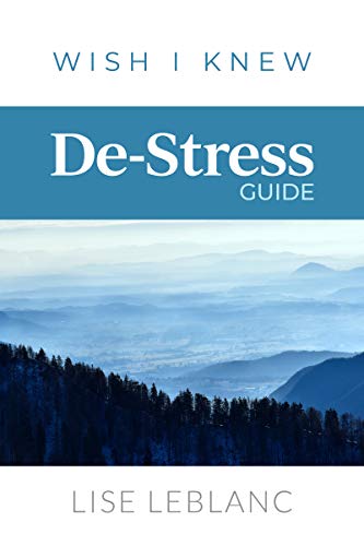 Conscious De-Stress Guide (Wish I Knew Series) (English Edition)