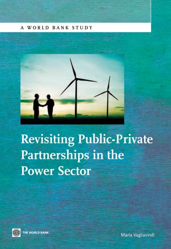 Revisiting Public-Private Partnerships in the Power Sector (World Bank Studies) (English Edition)