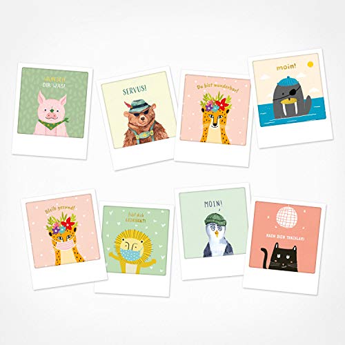 PICKMOTION BMP-0105 - Juego de 8 tarjetas postales con foto de felicitación ilustrada a mano, tarjetas de felicitación hechas a mano, frases y motivos, animales, flores, multicolor, BMP-0105