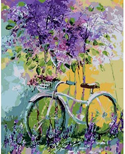 Pintura por kits de números - Sala de bicicletas en la pintura al óleo de Flower-DIY Lienzo Lienzo -Art Navidad Año Nuevo para decoraciones para el hogar Regalos 16x20 pulgadas (con marco)