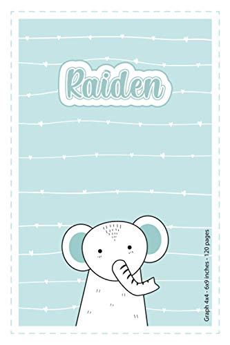 Raiden: Personalized Name Squared Paper Notebook Light Blue Elephant | 6x9 inches | 120 pages: Notebook for drawing, writing notes, journaling, ... writing, school notes, and capturing ideas