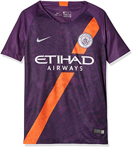 NIKE Manchester City FC Breathe Stadium 3rd Camiseta, Night Purple/Reflective Silver, Large Unisex niños