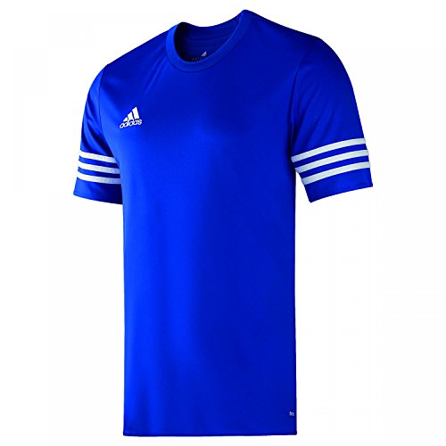 adidas Entrada 14 JSY, Camiseta para hombre, Azul (Cobalt/White), XL, F50491