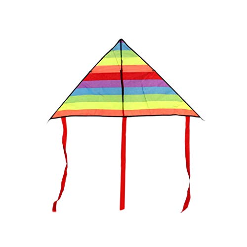AILI Hermosa Cometa Colorido Rainbow Kite Cola Larga Poliéster Cometas al Aire Libre Juguetes voladores para niños Niños Stunt Surf Kite Muy fácil de Volar Cometa fácil de Volar